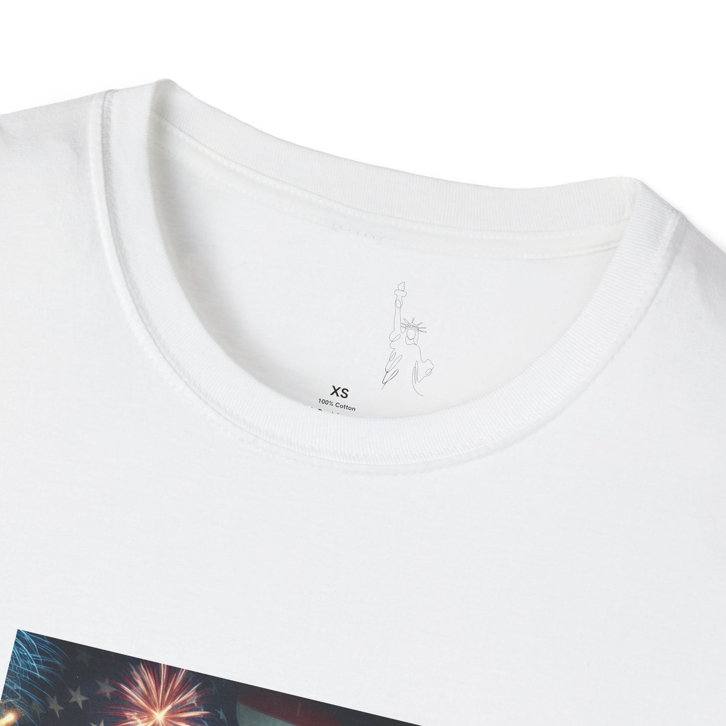 Americans Solute To The U.S. Flag with Fireworks T-Shirt