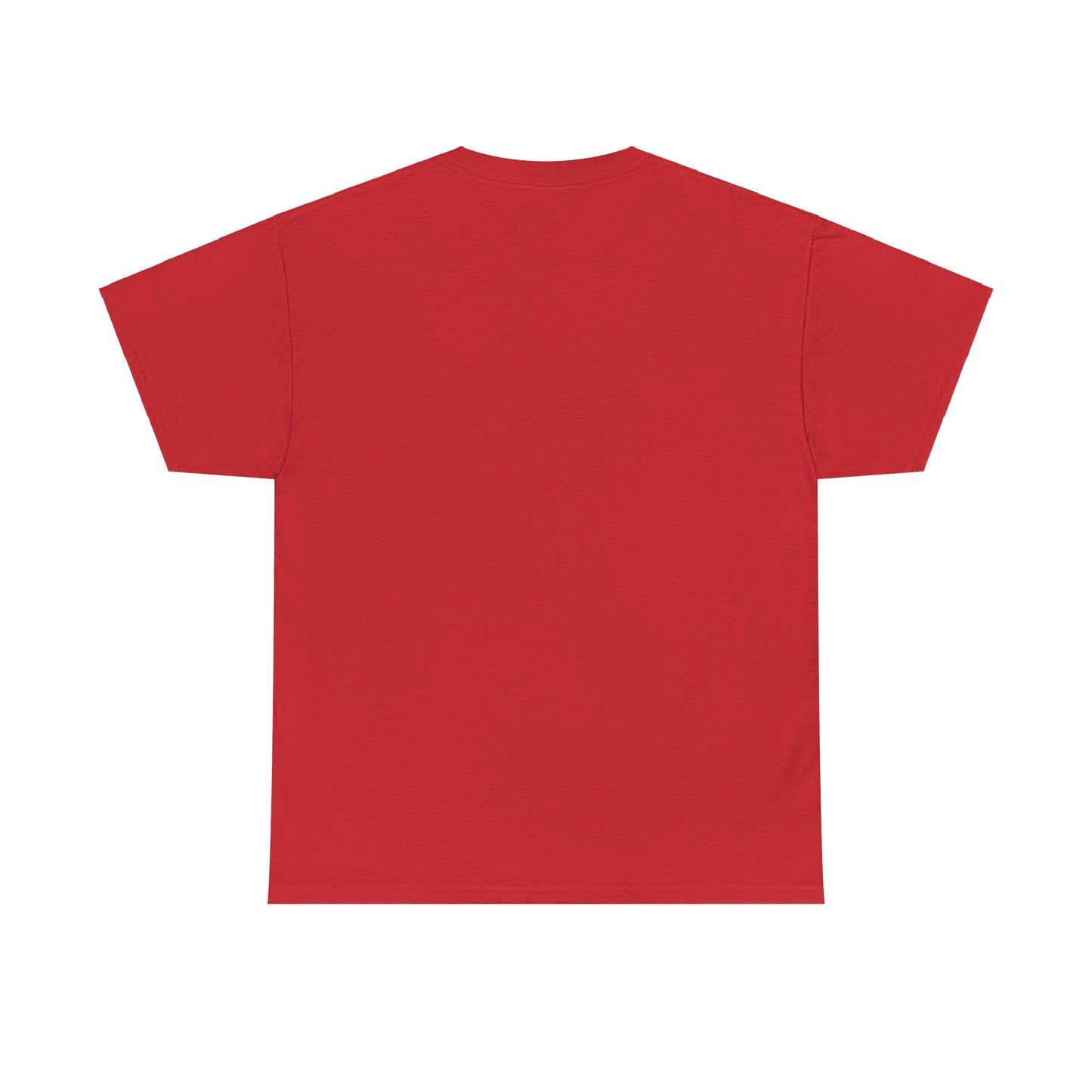 Global Climate Heavy Cotton Tee