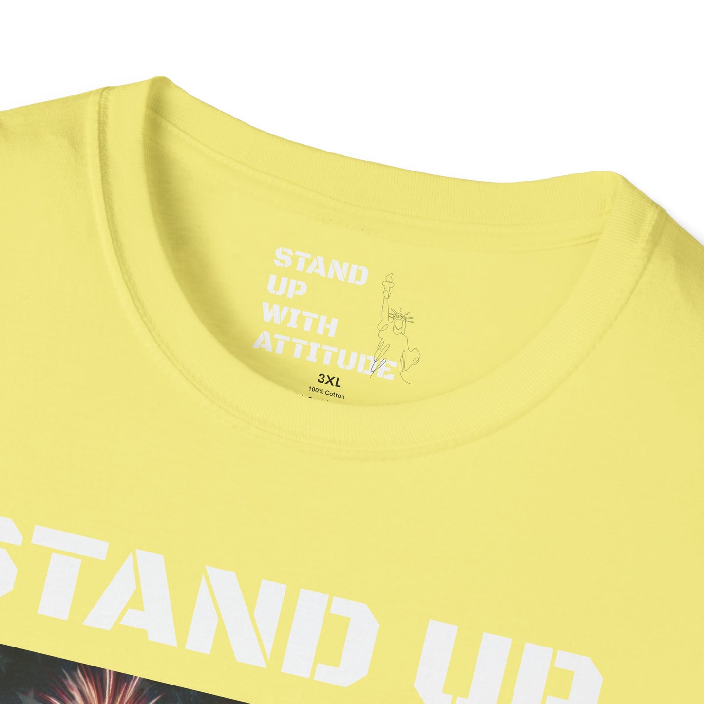 Americans Solute To The U.S. Flag with Fireworks T-Shirt