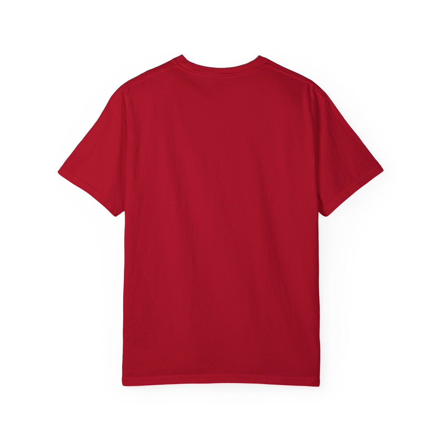Master Of Manipulation Garment-Dyed T-shirt