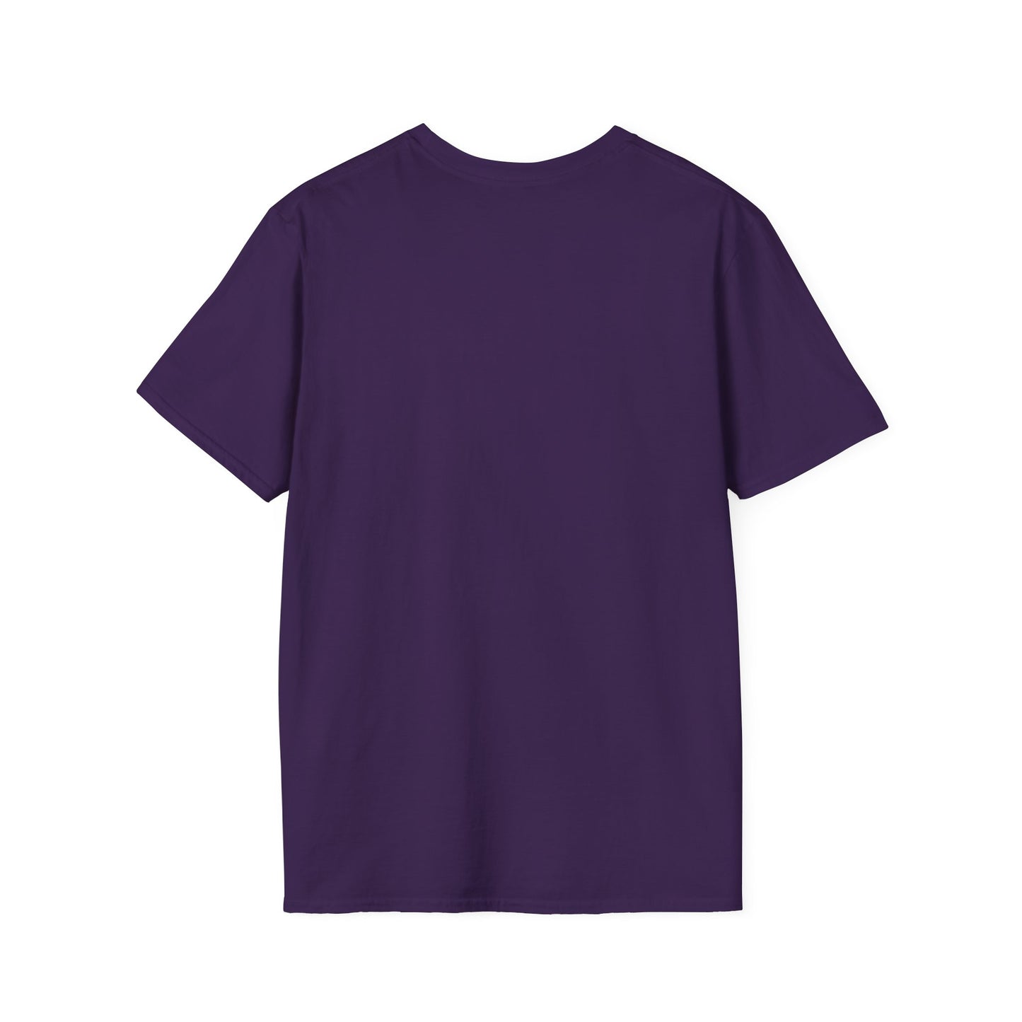 Crowd At Concert Cheering With American Flag And Fireworks Softstyle T-Shirt