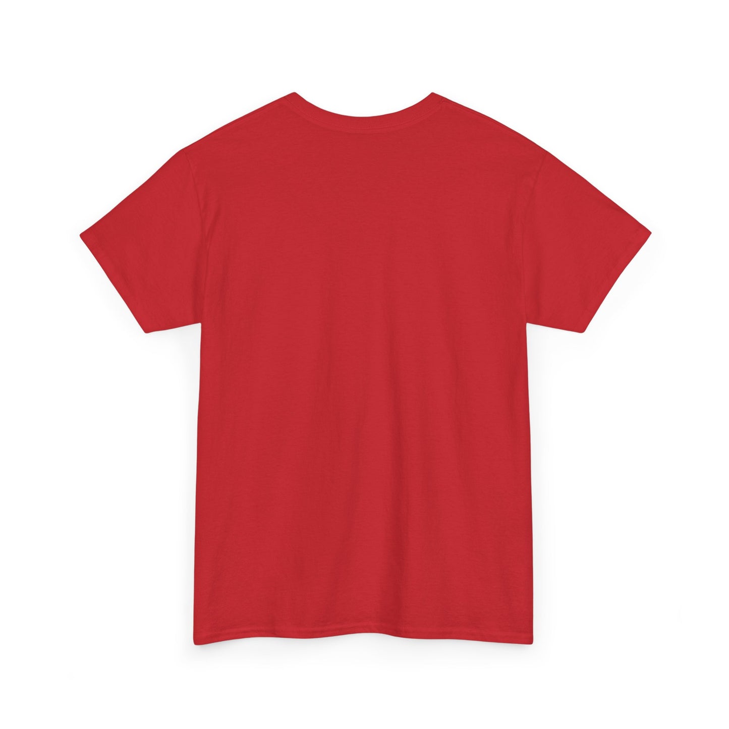 Global Climate Heavy Cotton Tee