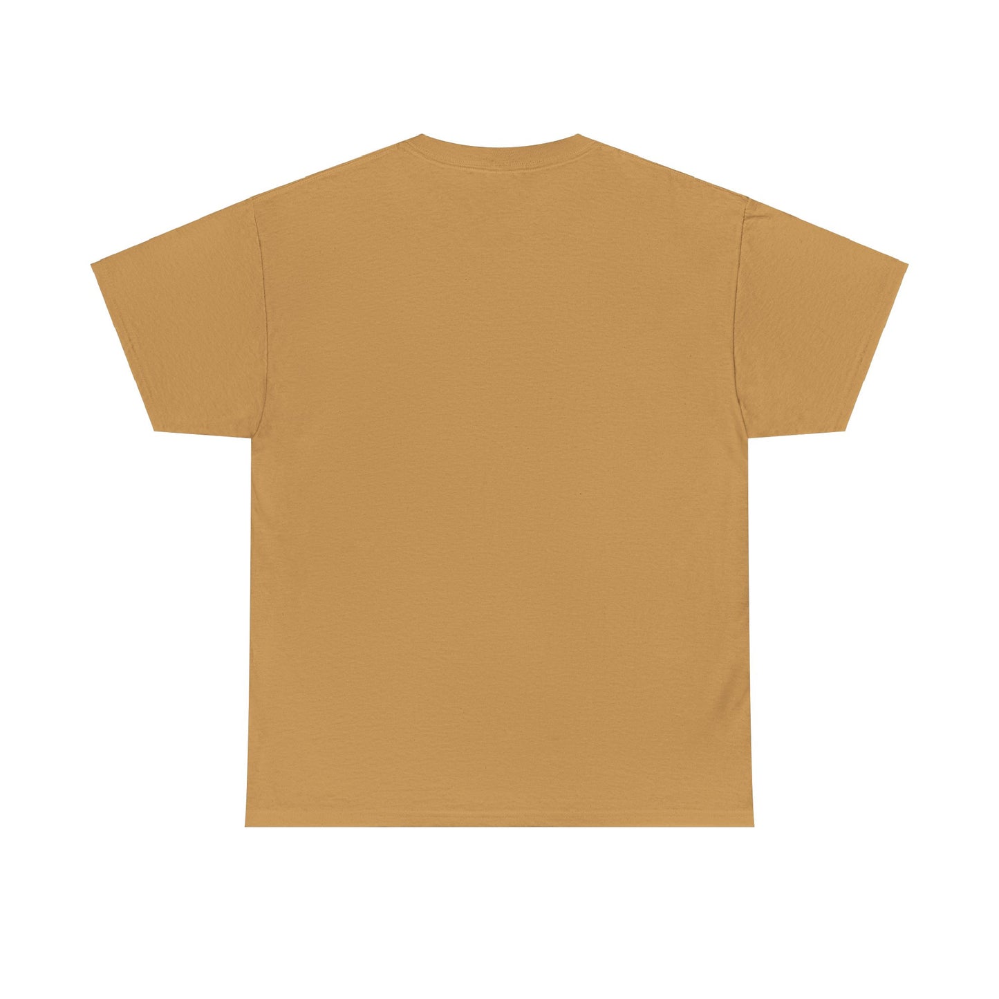 American Eagle Heavy Cotton Tee