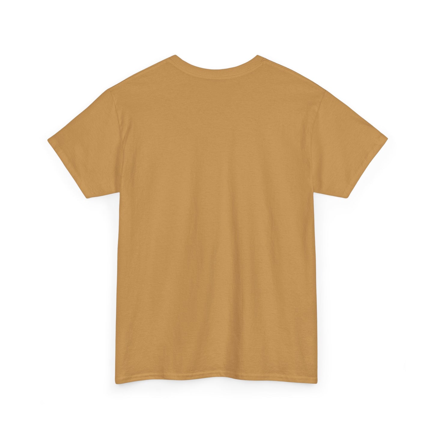 American Eagle Heavy Cotton Tee