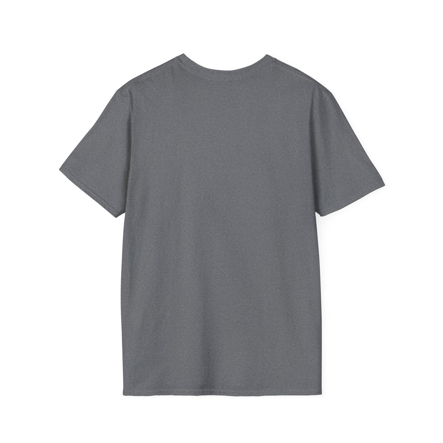 Crowd At Concert Cheering With American Flag And Fireworks Softstyle T-Shirt